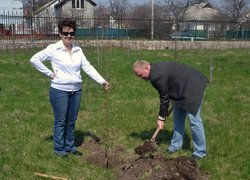 Actions “Clean Environment” and “Plant a Tree”